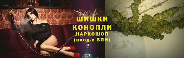 дмт Гусев
