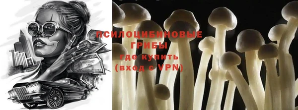 дмт Гусев