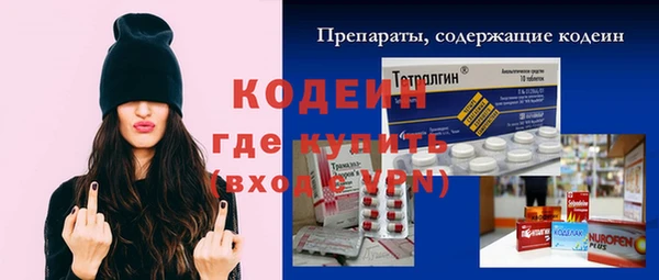 дмт Гусев