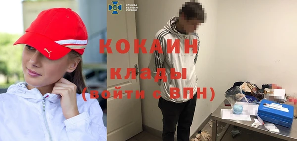 дмт Гусев