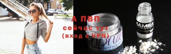 дмт Гусев