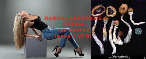 a pvp Гусь-Хрустальный