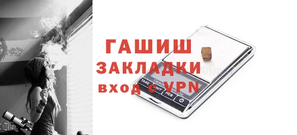 дмт Гусев