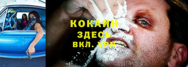 дмт Гусев