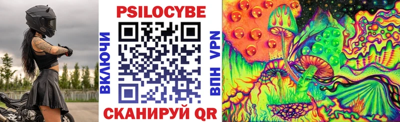 Псилоцибиновые грибы Cubensis Шимановск