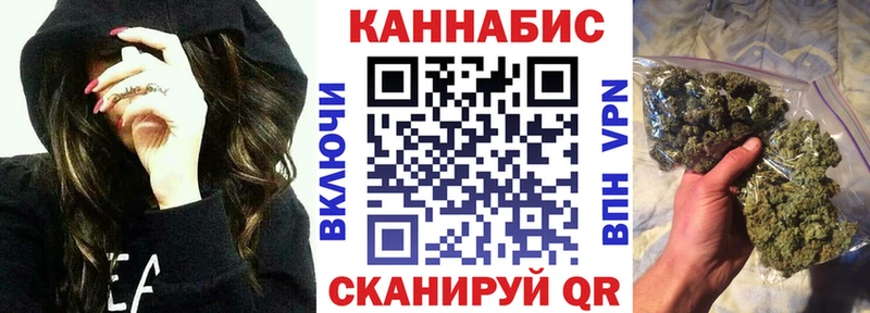 как найти   Шимановск  Марихуана индика 